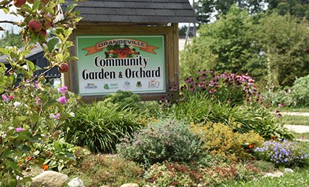 sign at the community garden
